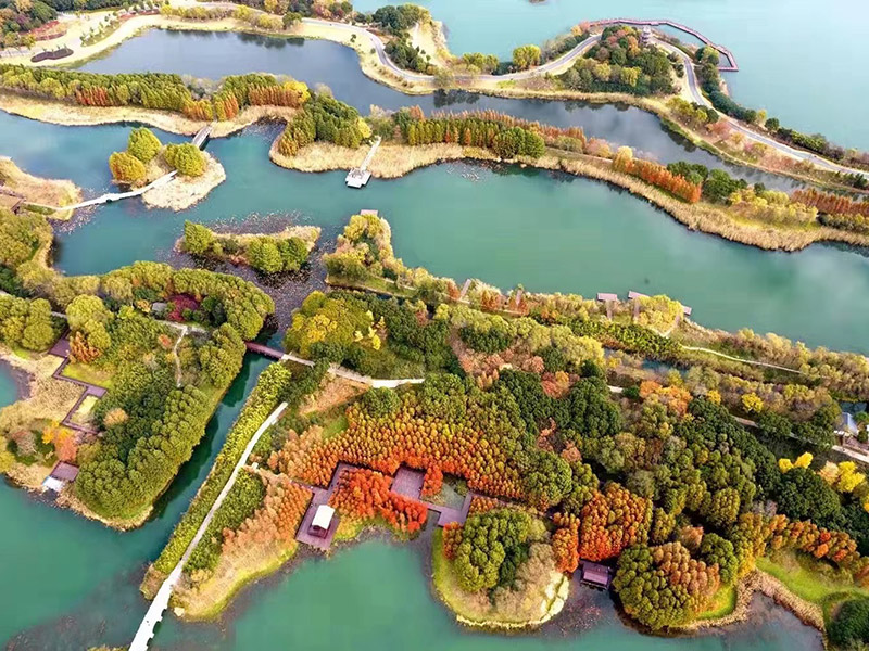 2026年国际足联世界杯(FIFA World Cup 2026)- 官方网站